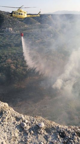 Incendio forestal en Albudeite