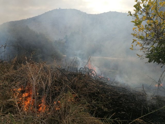 Conato de incendio en una rambla junto al casco urbano de Albudeite