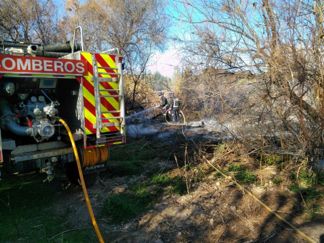 Dan por extinguido el incendio forestal declarado en la margen izquierda del río Mula en Albudeite