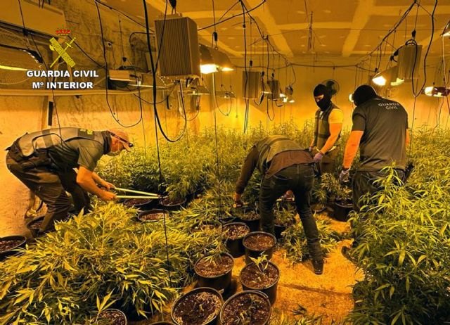 La Guardia Civil desmantela dos puntos de cultivo, elaboración y venta de varios tipos de droga en Albudeite